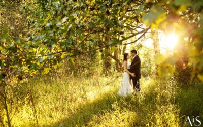Trash the dress