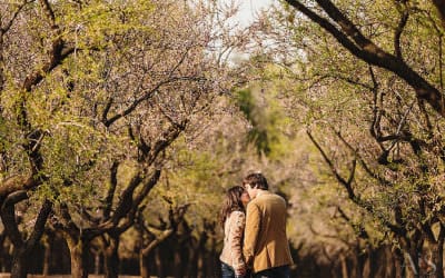 Preboda entre almendros en la Quinta de los Molinos