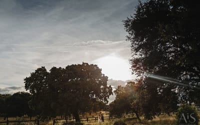Boda en Aldea Santillana – Una boda civil al aire libre
