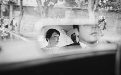 La transformación del pero Leti, tú a mí me ves en una boda
