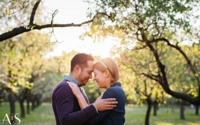 Pedida de mano sorpresa