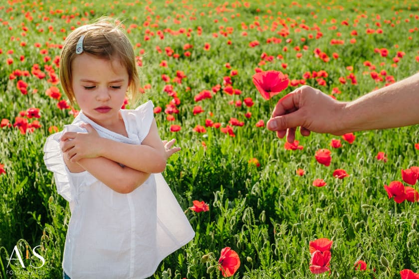 En un campo de amapolas