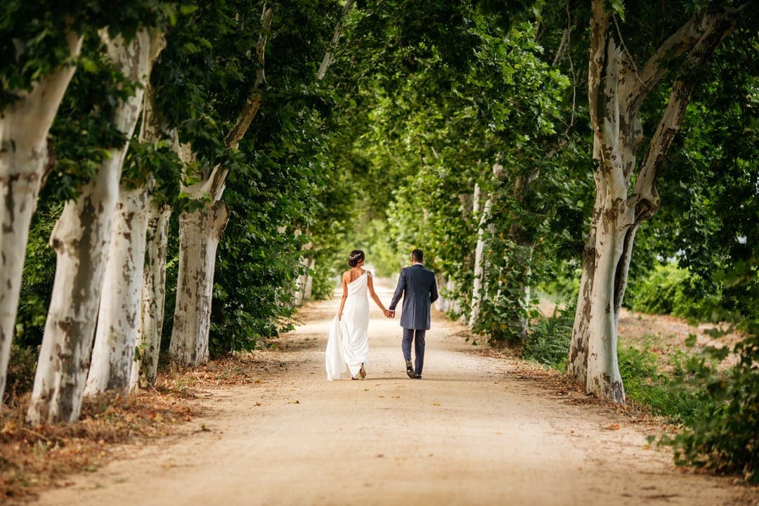 Boda civil en el palacio del Rincón