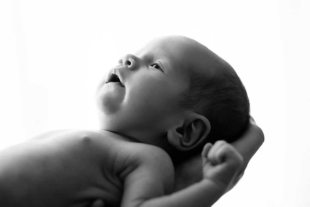 newborn newborn